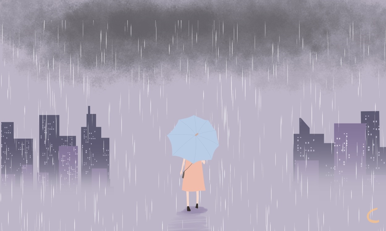 台风暴雨的知识应急预案