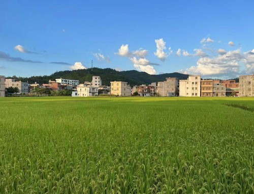 寒潮发生在什么时间