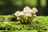 最新的竞聘演讲稿