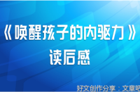 激发孩子的内驱力读后感1000字
