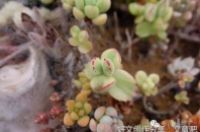 同样的“坑”，今天又掉进去一次？