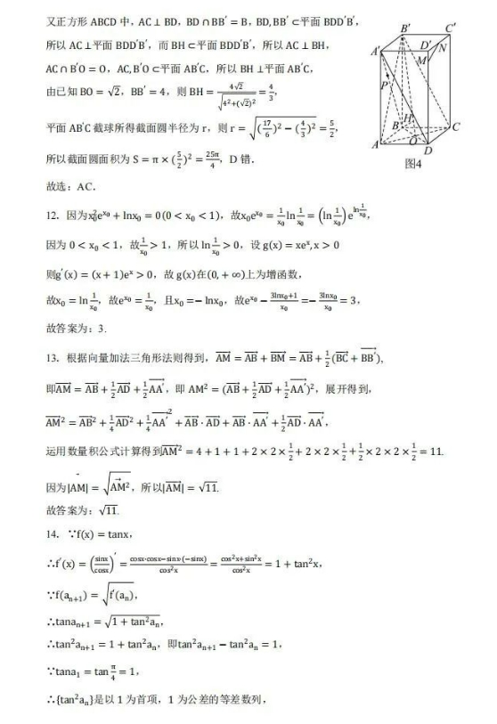 东北三省2025届高三(11月)名校联考考试数学试题
