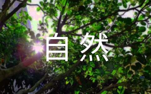 描写自然风光的诗