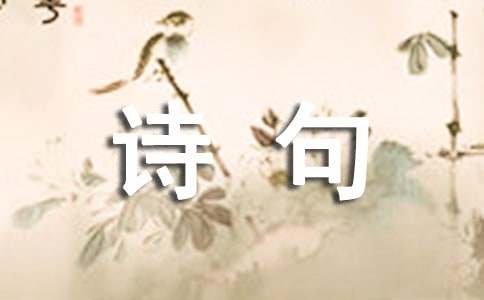 关于描写喀什的诗句