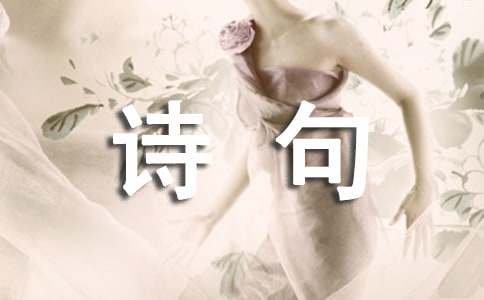 新春佳节蛇年诗句（精选50句）