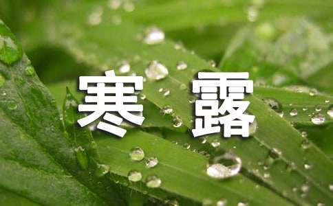 描写寒露的古诗（精选60首）