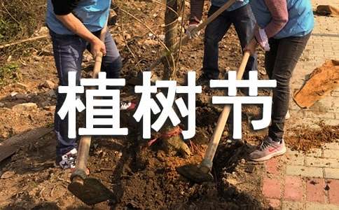 中学生植树节主题演讲稿（通用26篇）