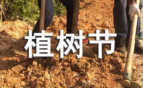 2025年植树节活动演讲稿（精选40篇）